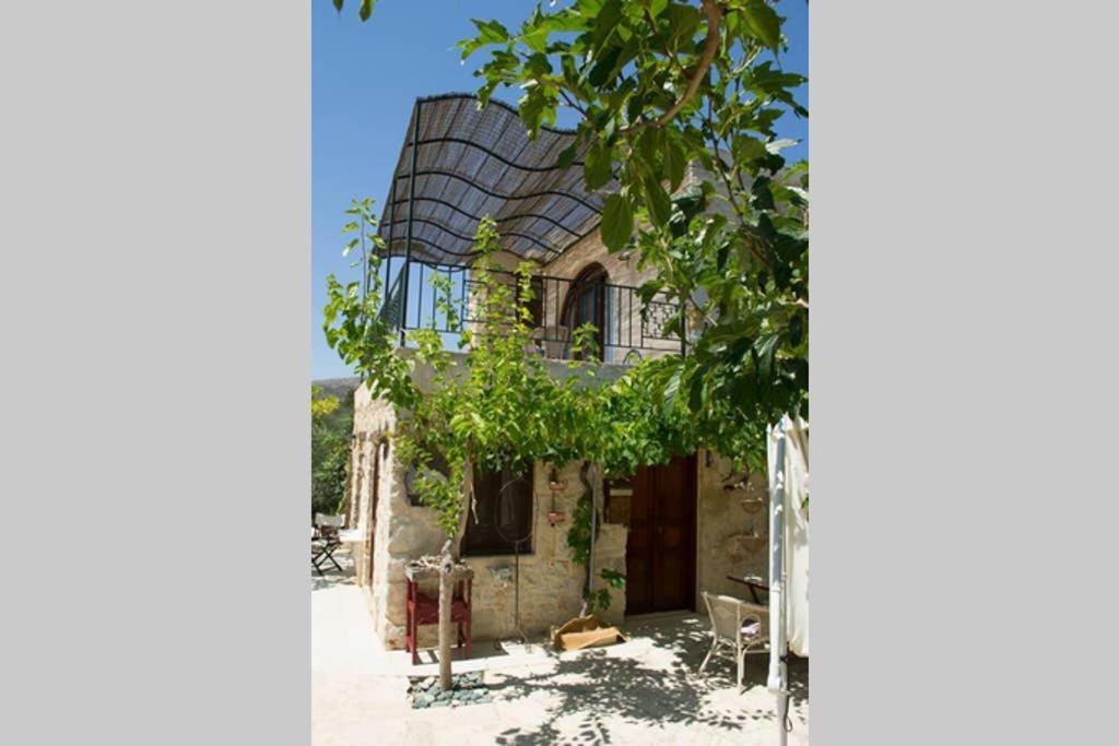Petite Olive House Villa Sitia  Exterior photo